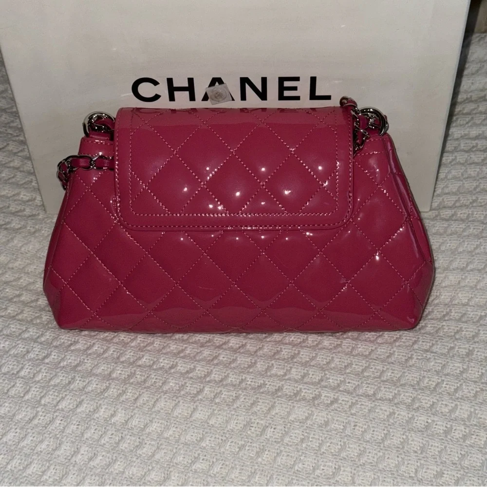 Chanel 2015 Coco Shine Accordion Flap Bag - Picture 3 of 10